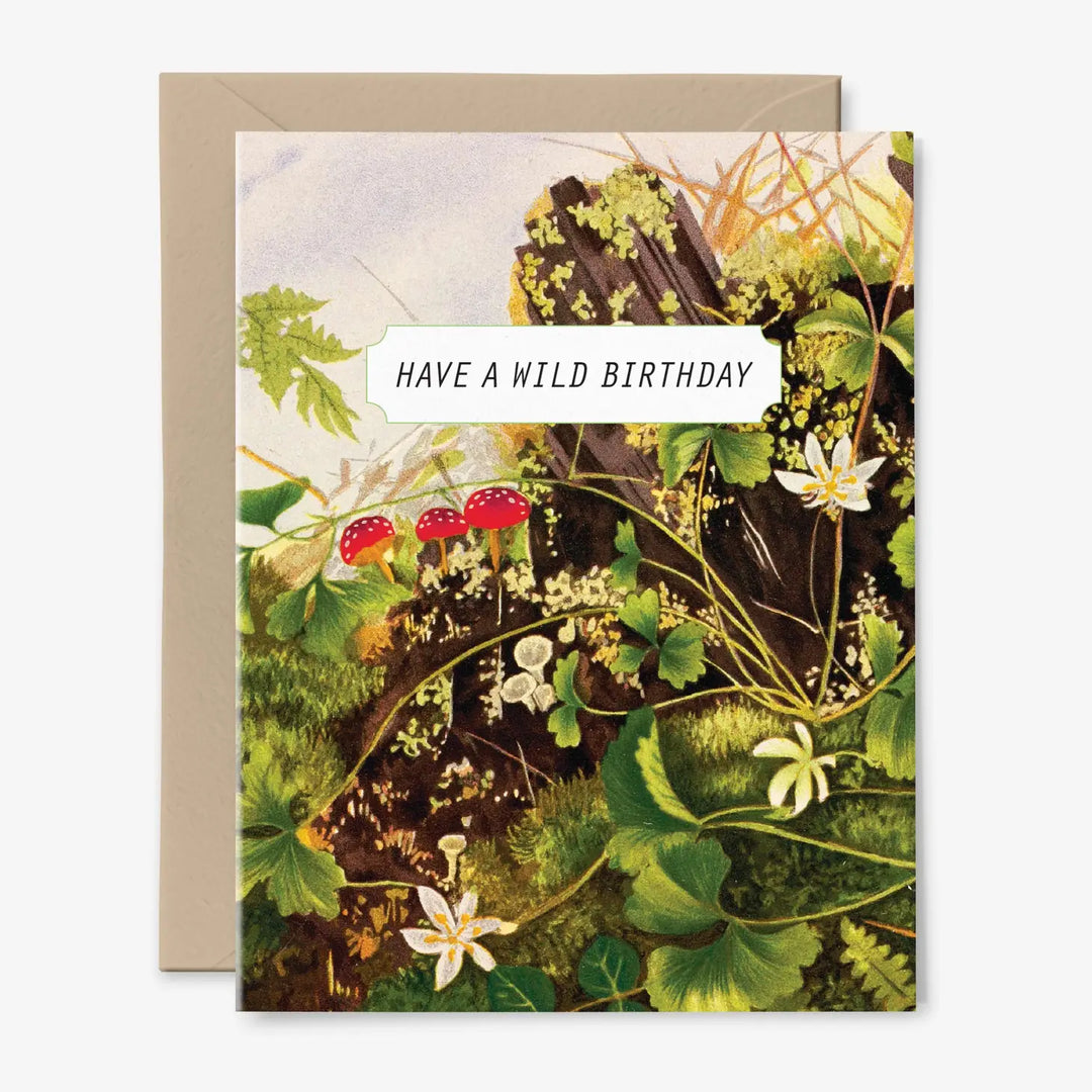 Hemlock House Wild Birthday Card