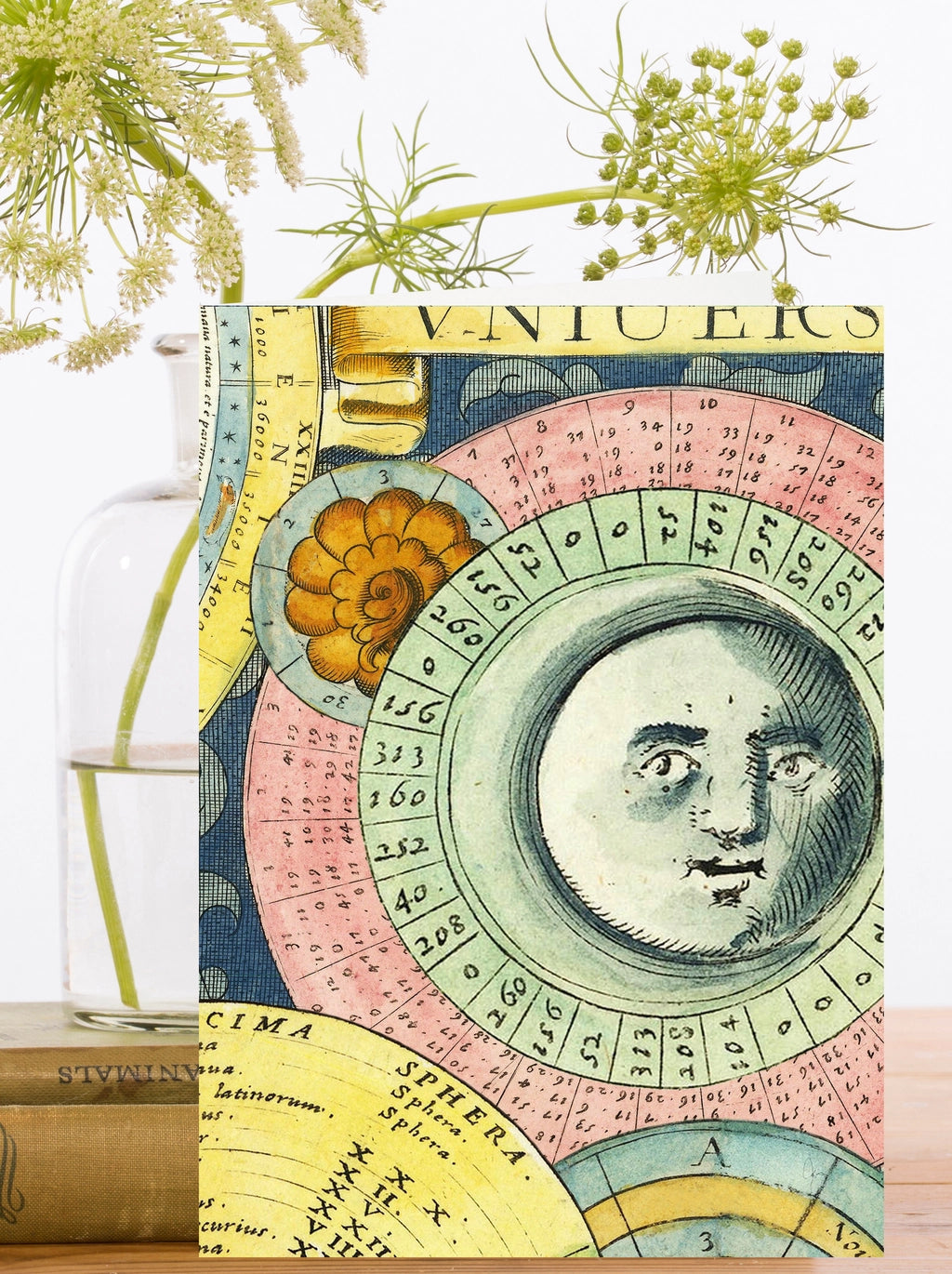 Madame Treacle Moon Phase Card