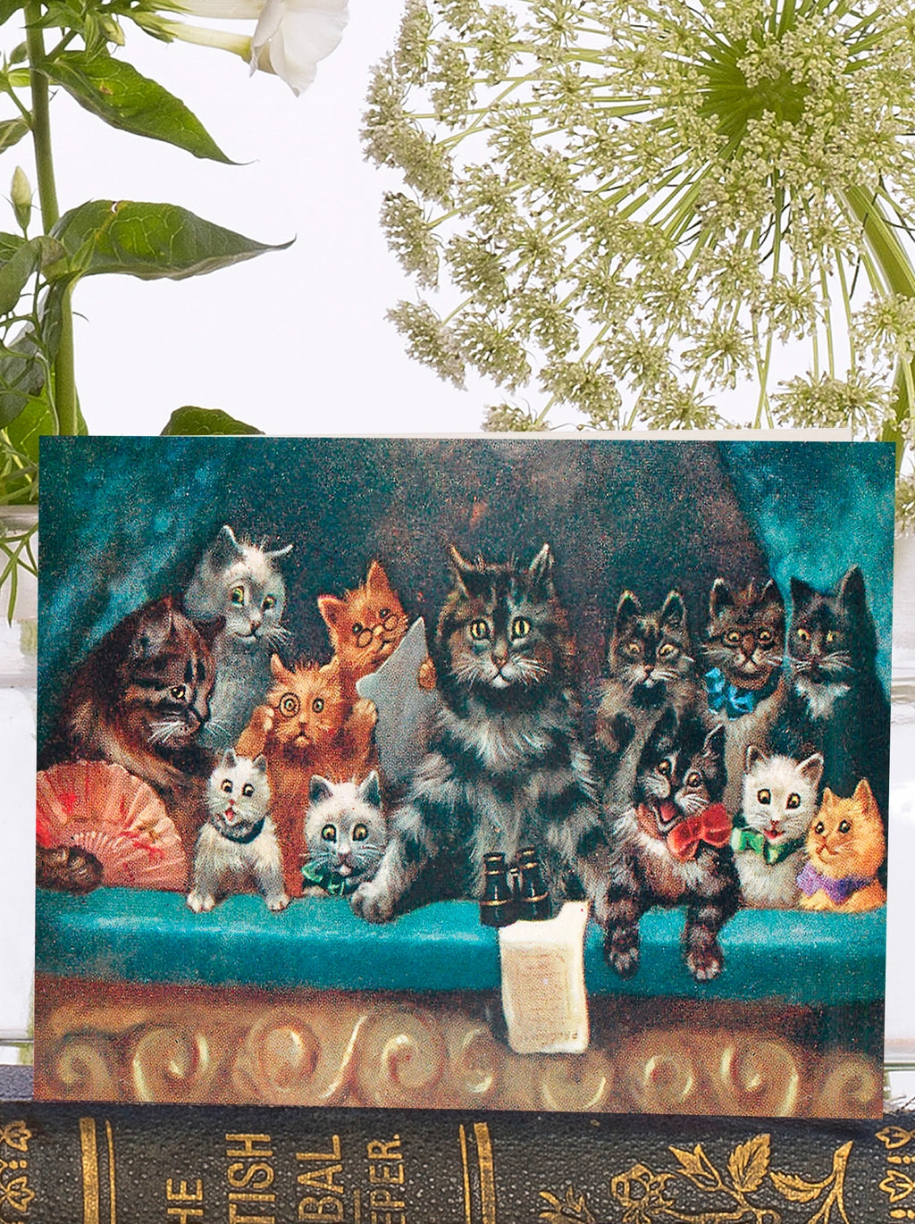 Madame Treacle Vintage Cats Little Greeting Card