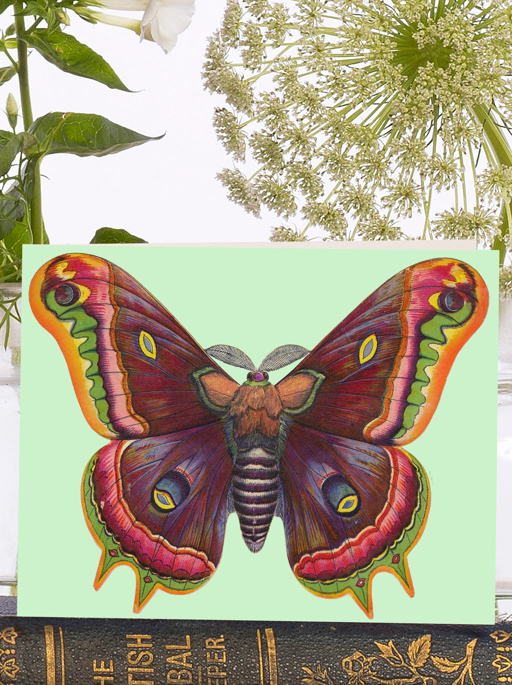 Madame Treacle Vintage Butterfly Little Greeting Card