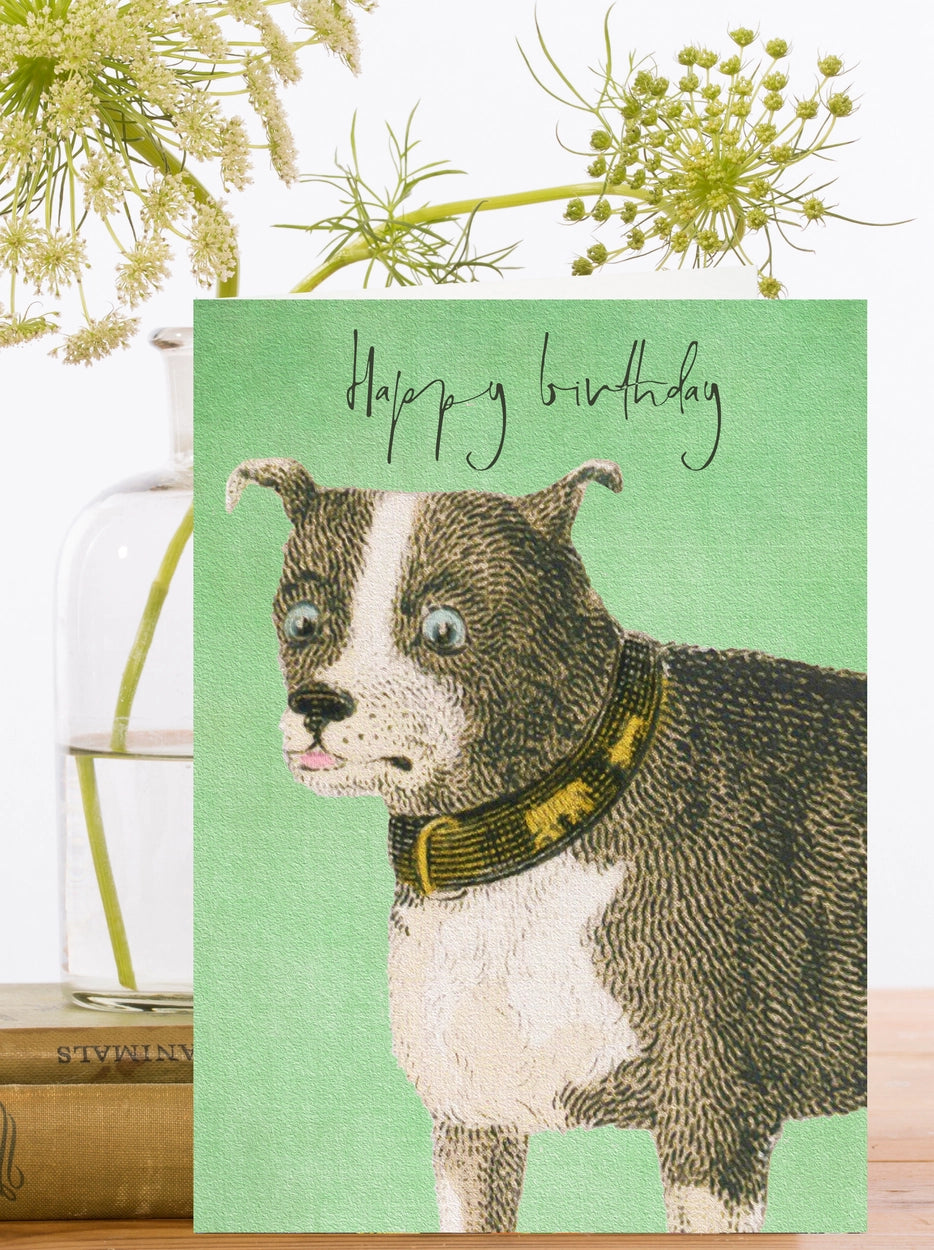 Madame Treacle Happy Birthday Dog Card