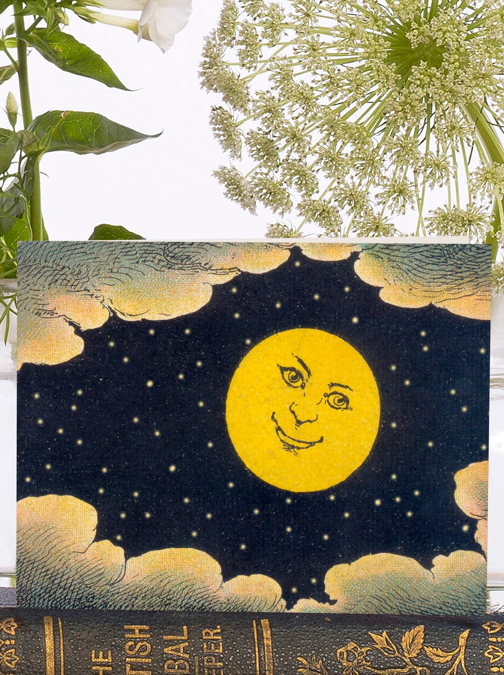 Madame Treacle Vintage Moon Little Greeting Card